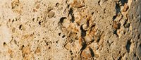 Porous volcanic rock texture with natural holes and cavities showing rough beige surface detail for geology education and natural material backgrounds.