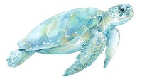 Sea turtle rendered in soft watercolor tones with blue and turquoise hues, isolated on white background, suitable for marine wildlife designs, educational materials, and coastal-themed projects.