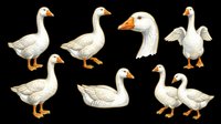 White geese set in multiple poses, isolated on transparent background. Farm bird clipart for t-shirt design, stickers, print on demand, and sublimation projects.