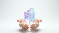 Human hands presenting holographic digestive system anatomy with stomach and intestines in purple and blue gradient colors for medical education.