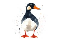 Watercolor duck with black head and white chest standing upright, orange beak and feet with artistic splatter effects on white background, isolated for design use.