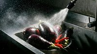 Eggplants and red peppers being washed with water spray in a kitchen sink, fresh produce cleaning and preparation for cooking.