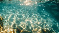 Underwater view of sunlight creating rippling patterns on sandy ocean floor through crystal clear turquoise water, natural aquatic background with light rays.