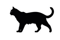 Black cat silhouette walking in profile view, isolated on white background for design projects, logos and decorative elements.