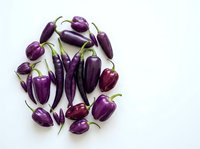Fresh purple eggplants and peppers arranged on white background for healthy cooking and organic vegetable recipes in kitchen preparation.