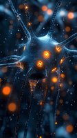 Neuron cell with glowing orange synapses transmitting electrical signals through blue neural pathways against dark background. Use for neuroscience, brain research, medical education, and healthcare presentations.