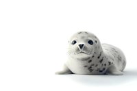 Adorable spotted seal pup with large eyes lying on white background, isolated studio portrait in high key minimalist style showing innocent expression.