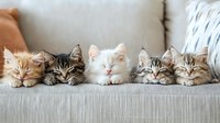 Five adorable kittens sleeping peacefully in a row on beige sofa. Cute tabby and white domestic cats resting together indoors for pet care concepts.