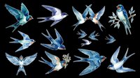 Watercolor flying birds collection in blue and teal tones, isolated on transparent background. Ready for t-shirt designs, clipart, stickers, sublimation, print-on-demand products and digital crafts.