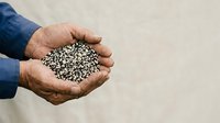 Male farmer holding handful of seeds in palm of hand against neutral background, agricultural concept for farming, gardening, planting, and crop production.