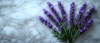 Fresh purple lavender flowers arranged in fan shape on gray marble background, panoramic composition with copy space for wellness and spa design.