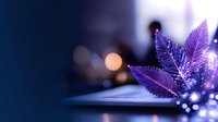 Magical purple leaves with glowing bokeh lights on dark blue background. Dreamy macro photography with soft focus and sparkles creates mystical atmosphere.