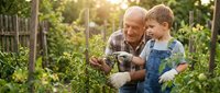 Senior Caucasian grandfather teaching young blonde grandson gardening skills in vegetable garden during golden hour sunlight creating bonding moment.