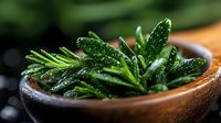 Fresh wet rosemary sprigs with water drops in wooden bowl, macro view on dark background. Natural aromatic herbs for cooking and aromatherapy.