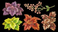 Colorful flower and foliage clusters isolated on transparent background, ready for t-shirt design, clipart, stickers, sublimation, print-on-demand products and digital crafts.
