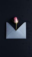 Single pink rose bud emerging from white envelope against dark background, creating minimalist romantic composition for Valentine's Day or love message concept.