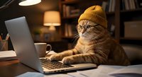 Orange tabby cat wearing yellow knit beanie hat typing on laptop computer at cozy home office desk with warm lighting and bookshelves in background.