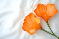 Vibrant orange petals of California poppies against soft white silk background create gentle natural composition with delicate stems and luminous glow.