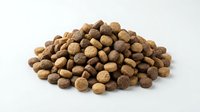 Pile of brown dry dog food kibble pellets isolated on white background for pet nutrition and feeding concepts.