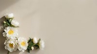 White peonies arranged in corner on neutral beige background with copy space for wedding invitations, greeting cards and floral design projects.