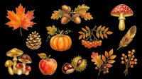 Autumn nature clipart set with maple leaf, pumpkin, mushrooms, acorns, berries, pine cone, apple, and chestnut, isolated on transparent background, ready for seasonal design use.