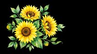 Watercolor sunflower bouquet with green leaves, isolated on transparent background. Ready for t-shirt design, stickers, sublimation, and print on demand clipart use.