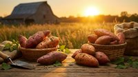 Fresh sweet potatoes in baskets on a rustic wooden table at sunset, with a farm barn and golden fields in the background.