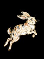 Jumping rabbit with tan and brown markings isolated on transparent background, ready for t-shirts, stickers, clipart, sublimation and print-on-demand designs.