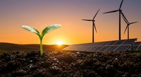 Green plant sprout growing from soil with solar panels and wind turbines at sunset representing renewable energy and environmental sustainability.