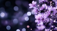 Purple cherry blossom flowers with soft bokeh lights creating dreamy spring atmosphere for romantic designs and seasonal decorations.
