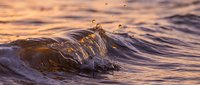 Ocean waves crashing with water droplets at golden hour sunset creating dramatic splash and motion in warm evening light.