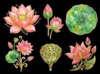 Watercolor lotus flower set with gold outlines, isolated on transparent background. Six botanical elements for stickers, sublimation, t-shirt design, and print on demand clipart.