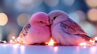 Two affectionate doves snuggling together amid soft glowing fairy lights, creating romantic atmosphere with pink and purple tones against blurred bokeh background.