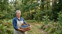 Middle-aged man with light skin tone wearing casual plaid shirt and apron holding basket of fresh blueberries in forest setting. Suitable for farming, agriculture, organic produce, and harvest themes.
