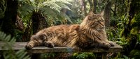 Long-haired tabby cat resting on wooden branch in lush tropical jungle environment with dense green foliage and ferns surrounding the feline.