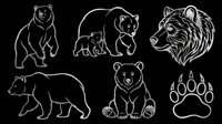 Grizzly bear line art collection isolated on transparent background, featuring standing bear, mother with cub, head profile, walking pose, sitting position, and paw print. Ready for t-shirt design, clipart, stickers, sublimation, and print-on-demand projects.