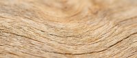 Close-up of natural wood grain texture with warm tan and brown tones, showcasing detailed surface patterns and wood fiber details for design and background use.