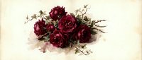Deep burgundy roses with delicate greenery and baby's breath arranged on cream background, perfect for wedding invitations, greeting cards, and floral design projects.