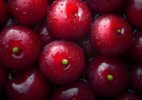 Fresh ripe cranberries with water drops macro photography, dark red berries background with natural moisture for food and harvest design.