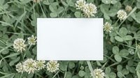 Blank white card mockup on green clover field with small white flowers. Natural outdoor template for branding, invitations, or eco-friendly design projects.