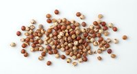 Mixed variety of dried legumes and beans scattered on white background, featuring lentils, chickpeas, and assorted pulses for healthy cooking and nutrition.