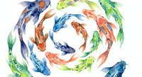 Colorful koi fish swimming in circular pattern on white background. Watercolor style Asian carp in blue, orange, green colors for zen meditation design.