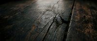 Weathered wooden surface with deep cracks and natural grain texture, showcasing aged wood flooring or rustic timber material for background and design projects.