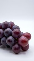 Fresh purple grapes cluster with water droplets on white background for healthy eating and nutrition concepts.