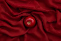 Fresh red apple on luxurious burgundy fabric with soft folds creating elegant contrast for food photography or culinary concepts.