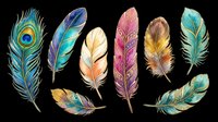 Colorful watercolor feathers set isolated on transparent background, ready for t-shirt design, stickers, clipart, sublimation, and print on demand projects.