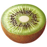 Fresh ripe kiwi fruit half showing detailed pulp texture, seeds and fuzzy brown skin on white background, isolated for food packaging and advertising.