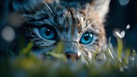 Intense blue eyes of wild owl peering through grass blades in dramatic close-up with blurred bokeh background, creating mysterious natural atmosphere.