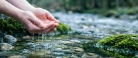 Hands cupping fresh clean water from natural mountain stream with moss-covered rocks. Pure spring water flowing through fingers in pristine wilderness environment.