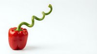 Red bell pepper with curved green stem isolated on white background, suitable for food packaging, culinary design, and healthy eating marketing materials.